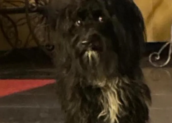 Hotel Drei Kronen Dortmund